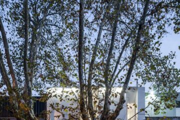 40078-preview_low_3137-1_40078_sc_v2com