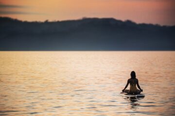 42664-preview_low_3319-1_42664_sc_v2com